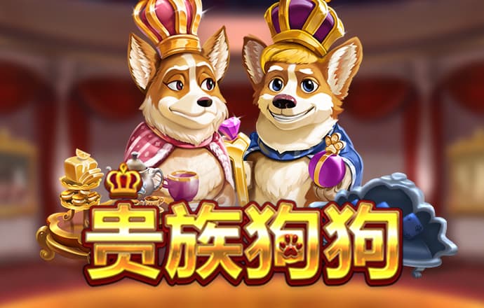 kok全站下载
